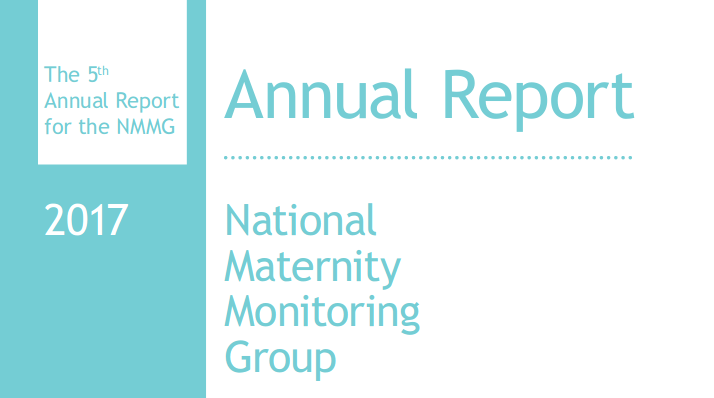 Front cover of the NMMG 5th Annual Report 2017