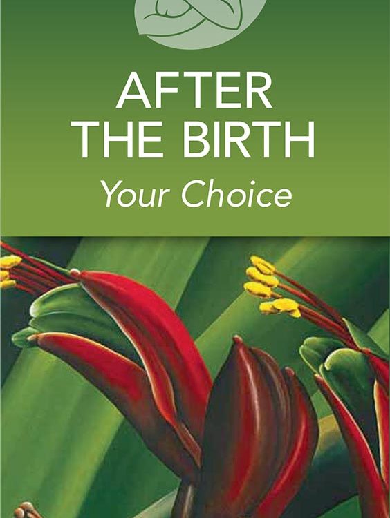 Front cover the MSCC's 'After the Birth' pamphlet
