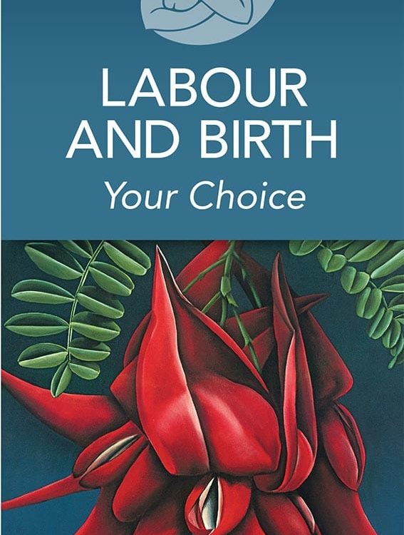 MSCC Labour and Birth pamphlet showing front cover